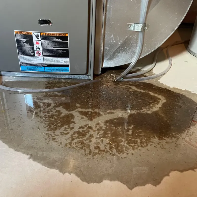 Appliance Leak Cleanup in Woodside, NY